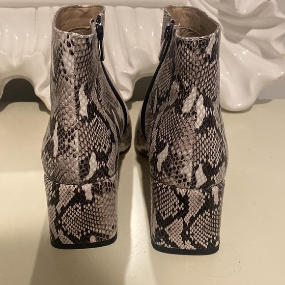 Snake print Booties. Size: 10. - Picture 4 of 5
